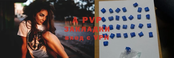 гидра Лихославль