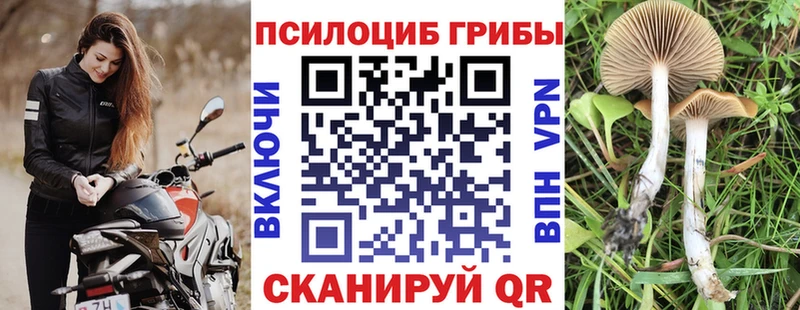 Псилоцибиновые грибы прущие грибы  Шацк 